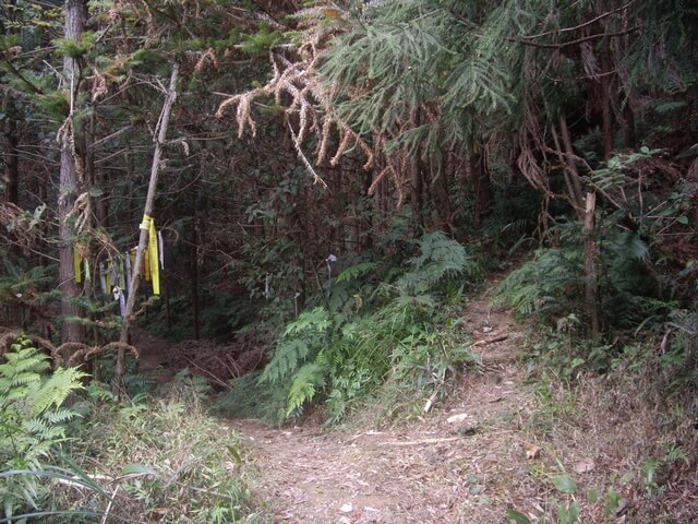 鵝公髻山東北峰、鵝公髻山