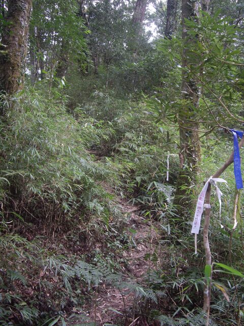 鵝公髻山東北峰、鵝公髻山