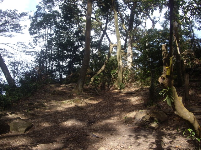 鵝公髻山東北峰、鵝公髻山