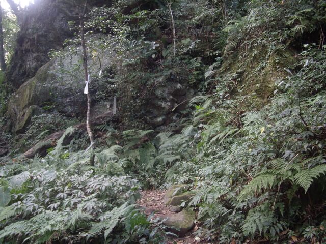 鵝公髻山東北峰、鵝公髻山