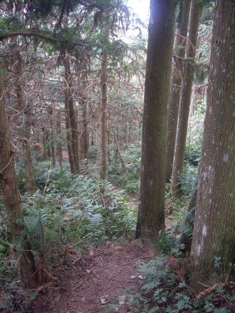 鵝公髻山東北峰、鵝公髻山