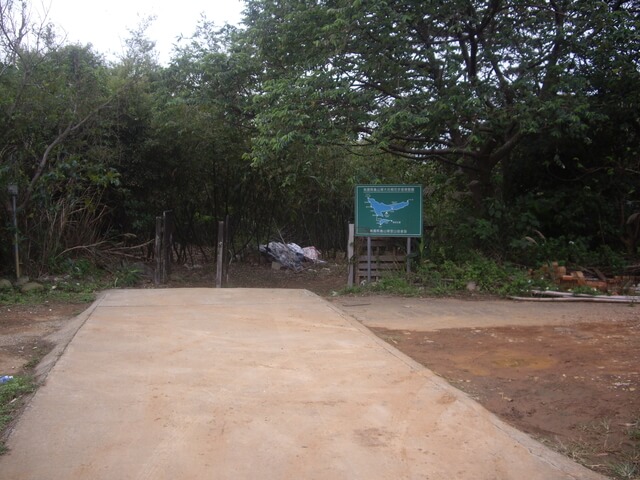 大坑桐花步道、陳厝坑山