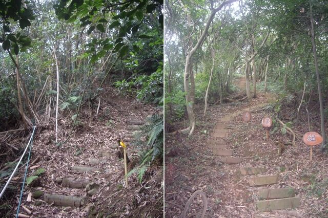 大坑桐花步道、陳厝坑山