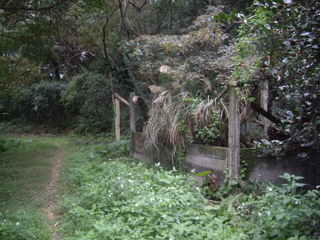 大坑桐花步道、陳厝坑山