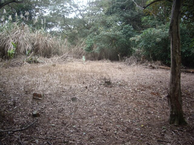 大坑桐花步道、陳厝坑山