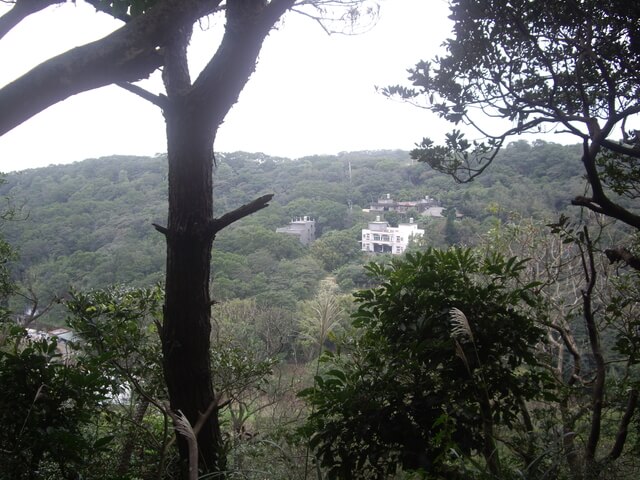 大坑桐花步道、陳厝坑山