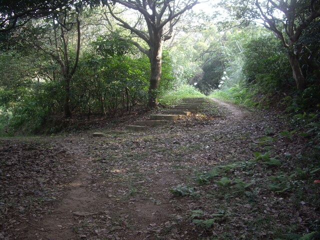 大古山步道