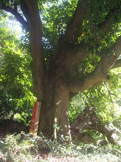 康樂山 山海寺