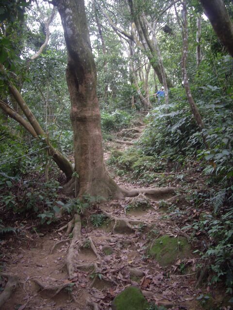 太平山、石門山