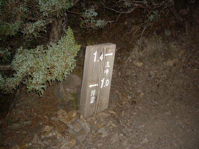 塔塔加上玉山主峰 玉山主峰