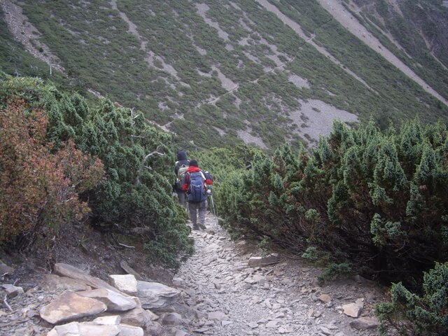 塔塔加上玉山主峰 玉山主峰