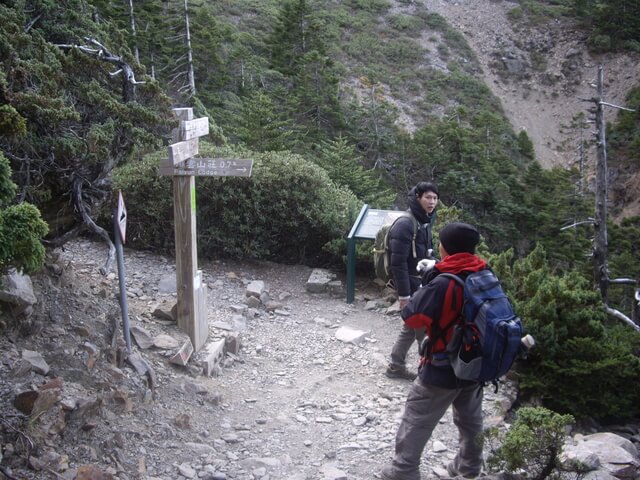 塔塔加上玉山主峰 玉山主峰