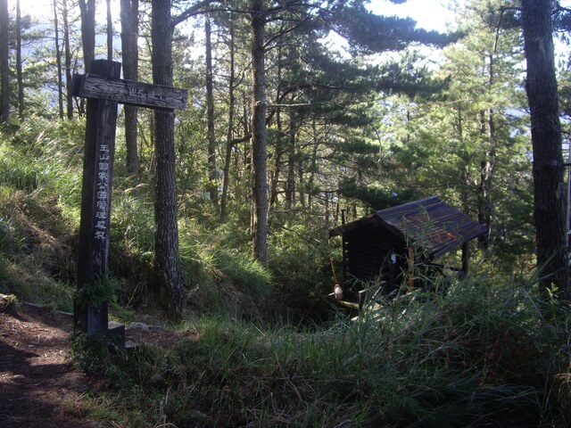 塔塔加上玉山主峰 排雲山莊