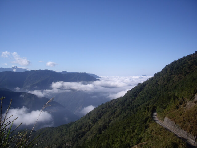 塔塔加上玉山主峰 排雲山莊