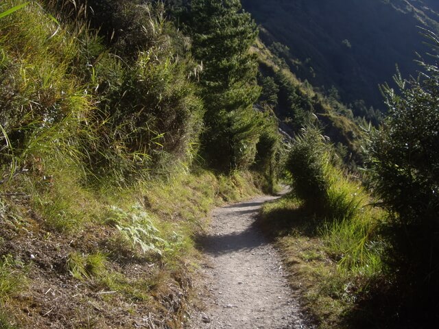 塔塔加上玉山主峰 排雲山莊