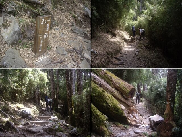 塔塔加上玉山主峰 排雲山莊