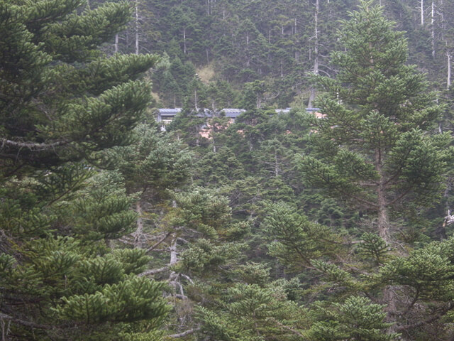 塔塔加上玉山主峰 排雲山莊