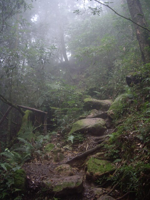 南鳳凰山、天文台、溪頭自然教育園區