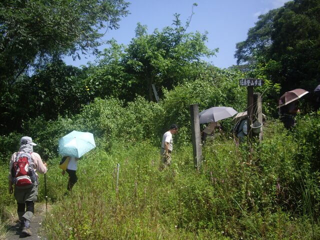 台南 鈺鼎步道