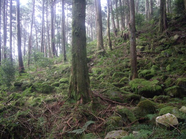 稍來小雪山步道、鞍馬山、船型山