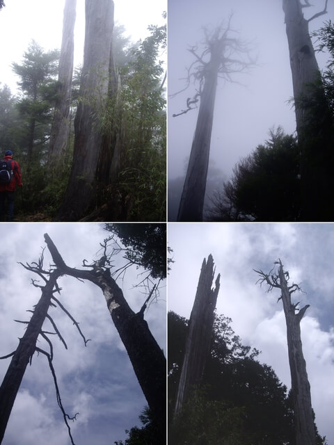 稍來小雪山步道、鞍馬山、船型山