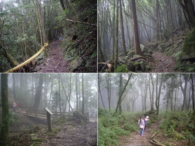 稍來小雪山步道、鞍馬山、船型山