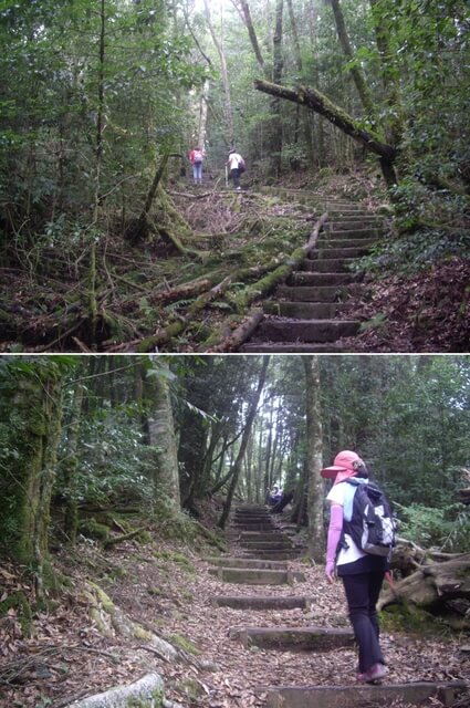 稍來小雪山步道、鞍馬山、船型山