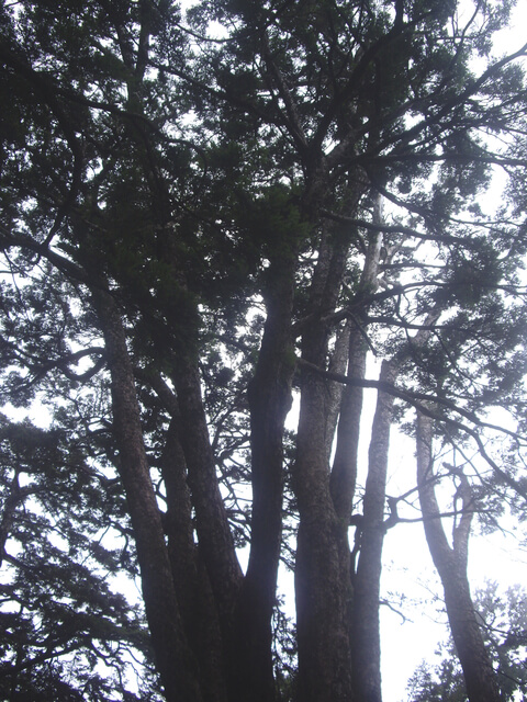 稍來小雪山步道、鞍馬山、船型山