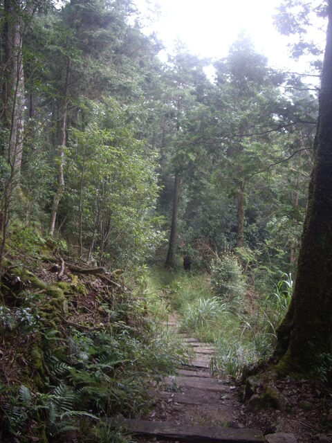 稍來小雪山步道、鞍馬山、船型山