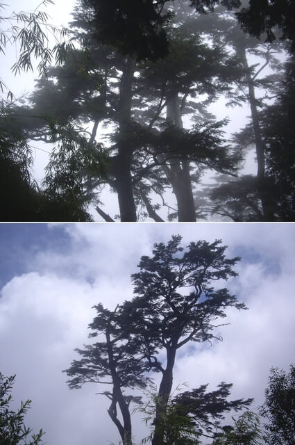 稍來小雪山步道、鞍馬山、船型山