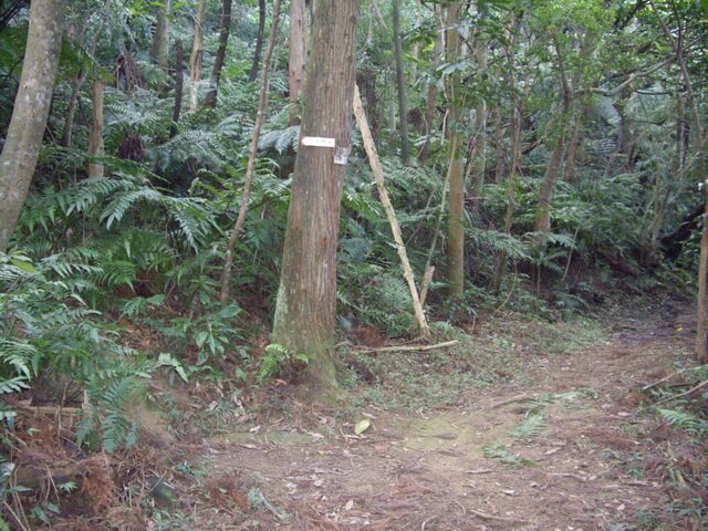 炮子崙步道