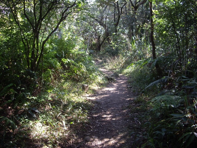 猴山岳