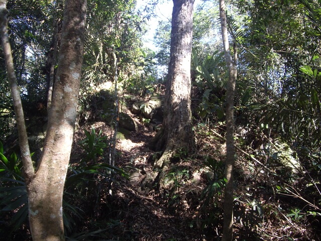 扇子排山、扇子排山西北峰