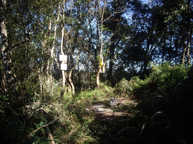 扇子排山、扇子排山西北峰