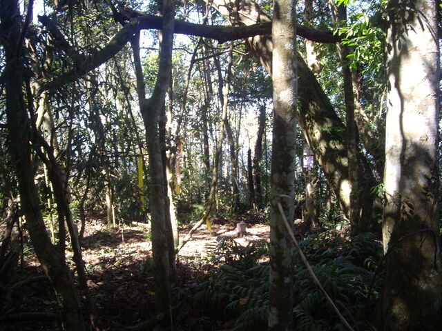 扇子排山、扇子排山西北峰