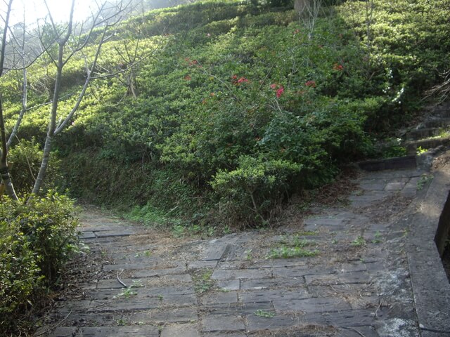 通安步道、通安山