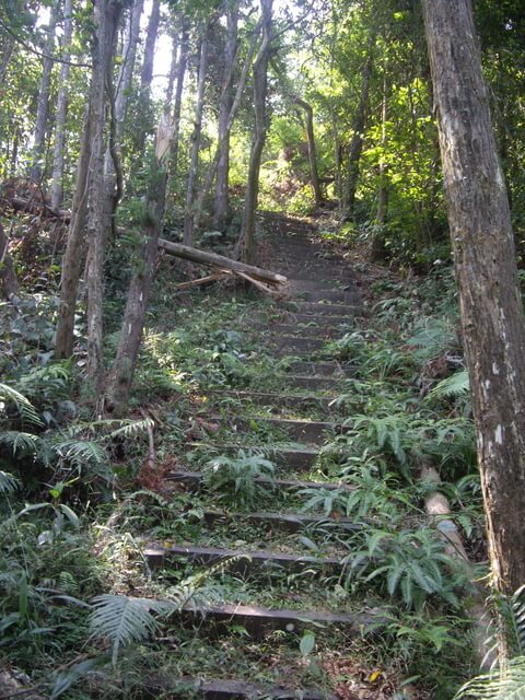 通安步道、通安山