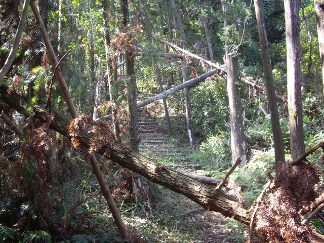 通安步道、通安山