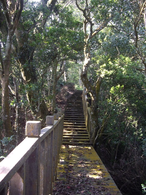 通安步道山頂