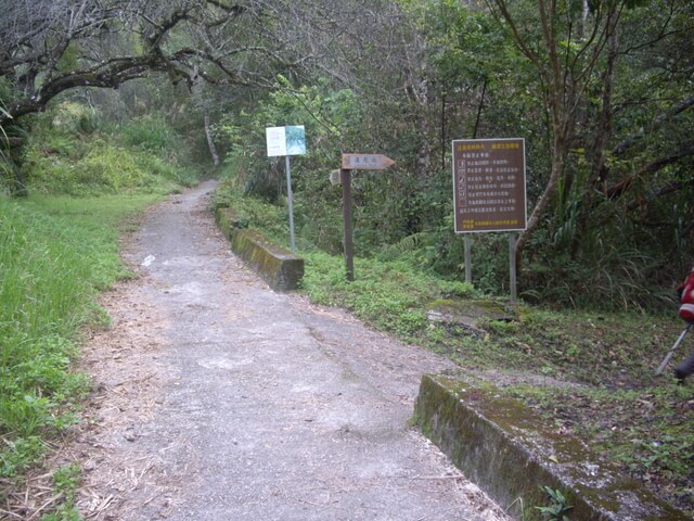 園竹村步道 九梅吊橋 