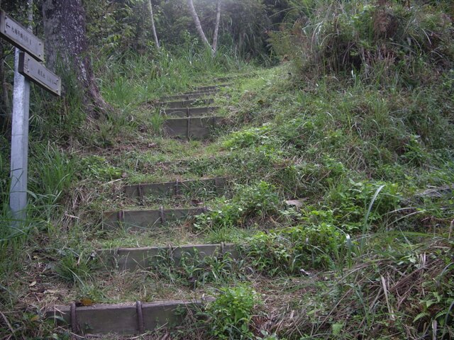 園竹村步道、蓮花池步道、祖輪山