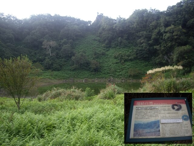 蓮花池步道 蓮花池 天潭