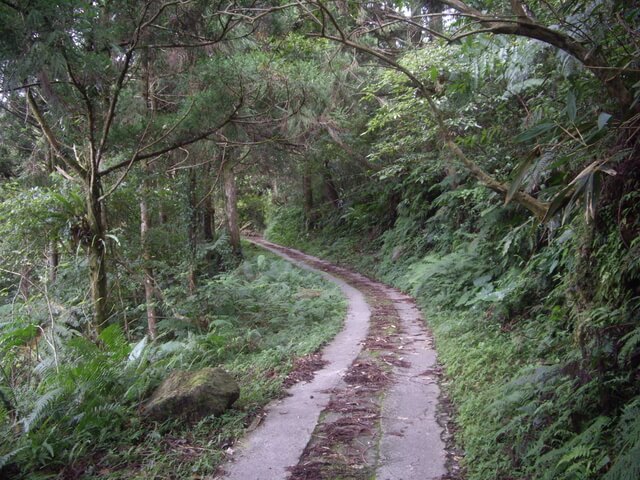 得卡倫步道 砂卡噹林道