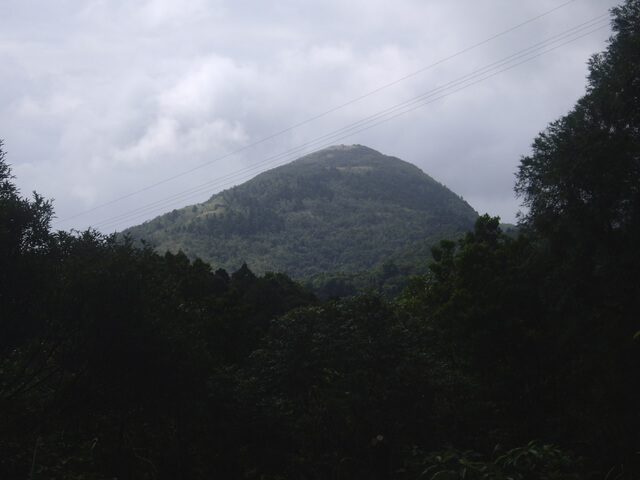 跑馬古道 鵲子山