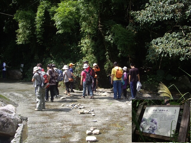 跑馬古道 猴洞坑溪