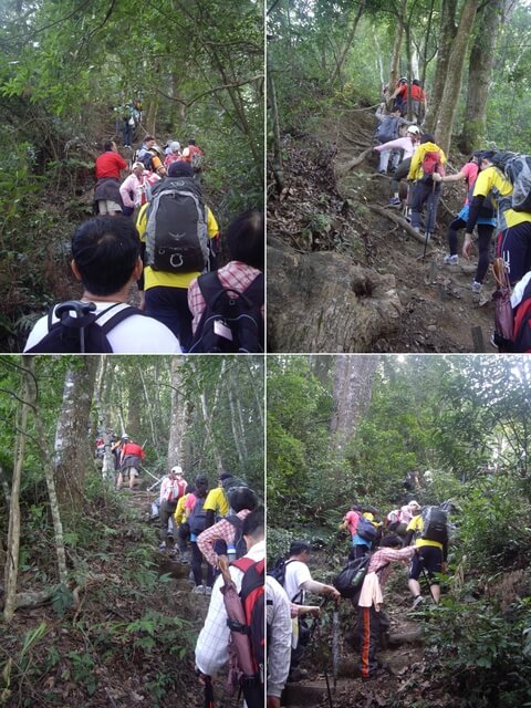 唐麻丹山(裡冷上、下松鶴)