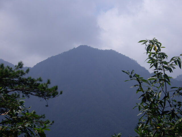 唐麻丹山(裡冷上、下松鶴) 對面的東卯山