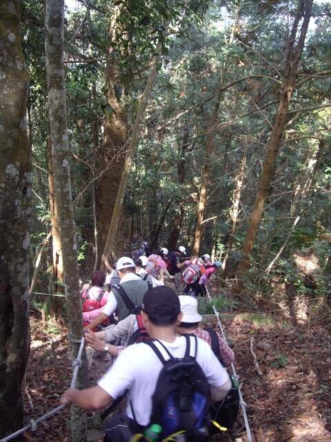 唐麻丹山(裡冷上、下松鶴)