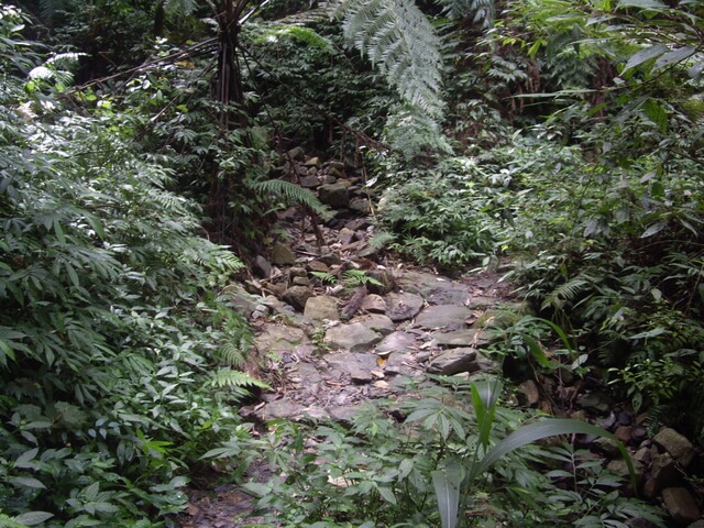 唐麻丹山(裡冷上、下松鶴) 乾溪溝