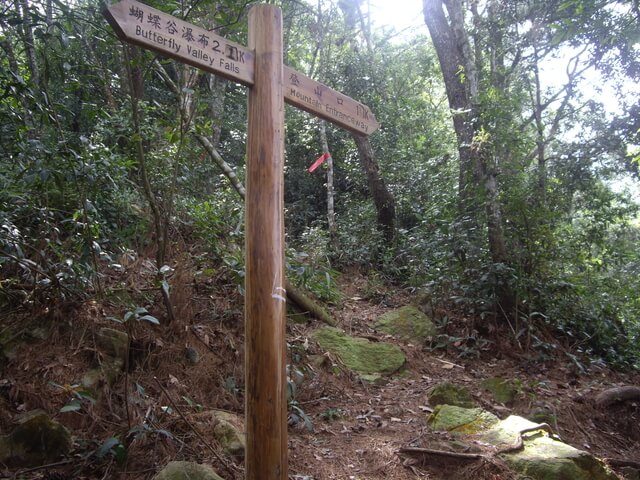 唐麻丹山(裡冷上、下松鶴)